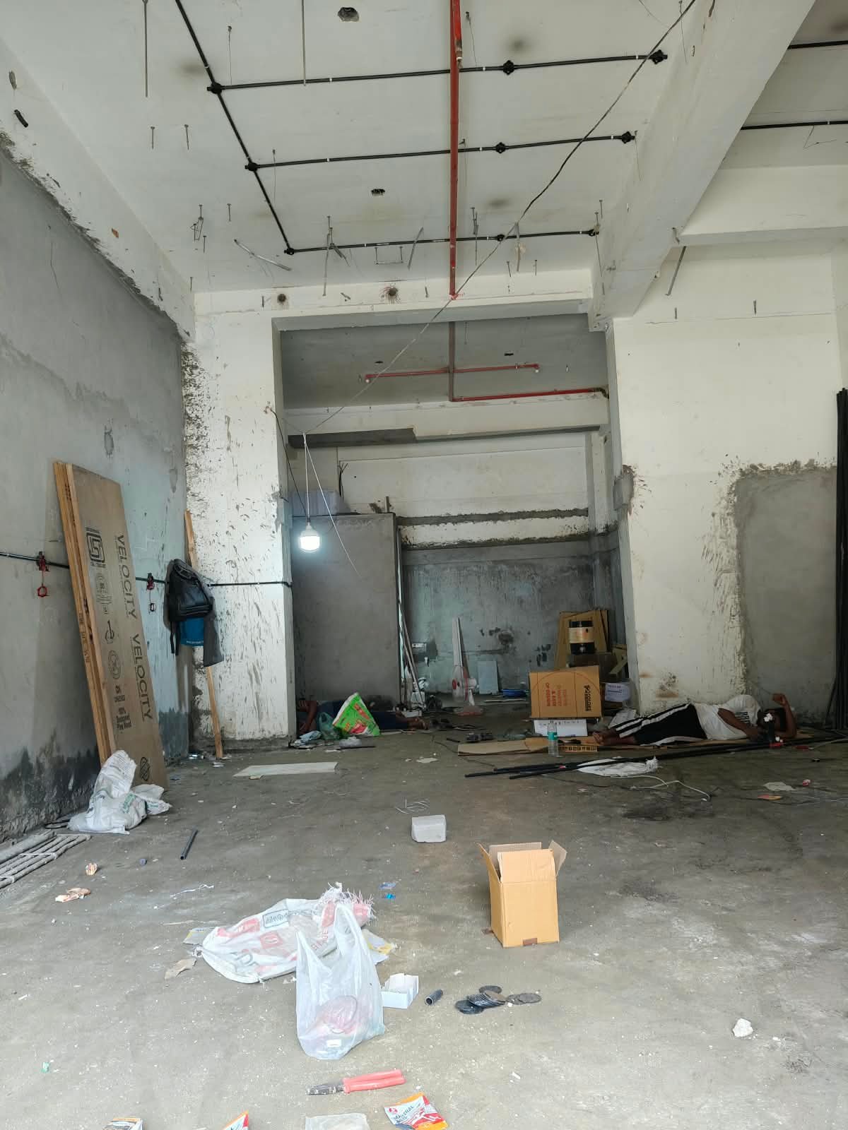 Gallery 6